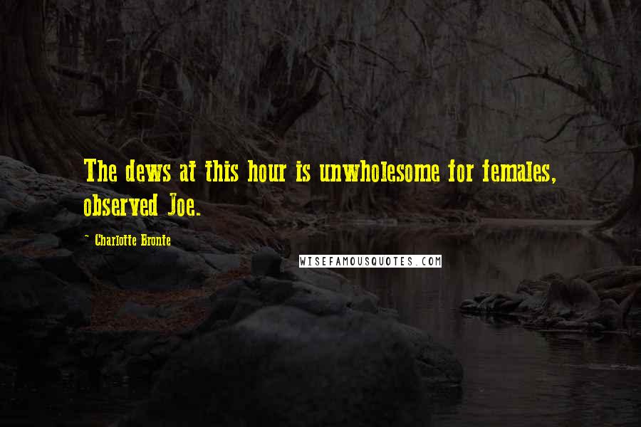 Charlotte Bronte Quotes: The dews at this hour is unwholesome for females, observed Joe.