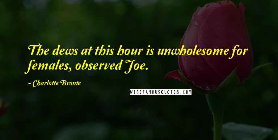 Charlotte Bronte Quotes: The dews at this hour is unwholesome for females, observed Joe.