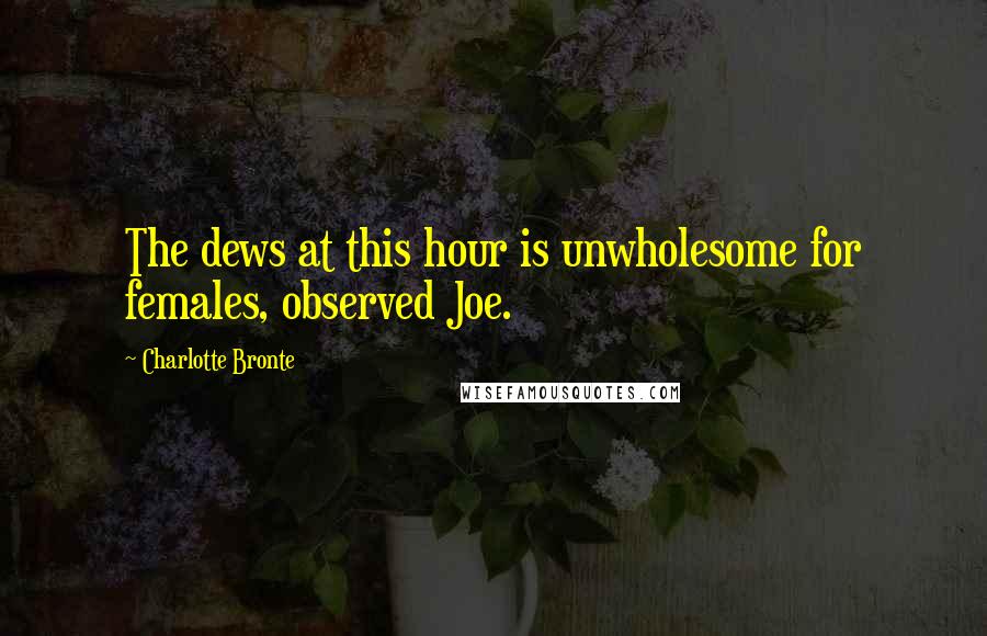 Charlotte Bronte Quotes: The dews at this hour is unwholesome for females, observed Joe.