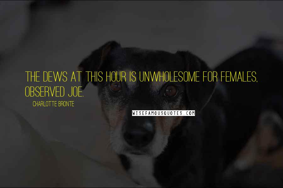 Charlotte Bronte Quotes: The dews at this hour is unwholesome for females, observed Joe.