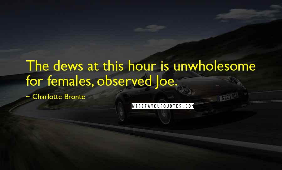 Charlotte Bronte Quotes: The dews at this hour is unwholesome for females, observed Joe.