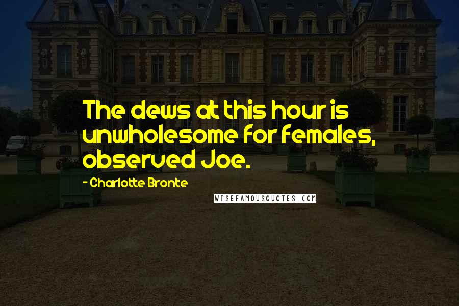 Charlotte Bronte Quotes: The dews at this hour is unwholesome for females, observed Joe.