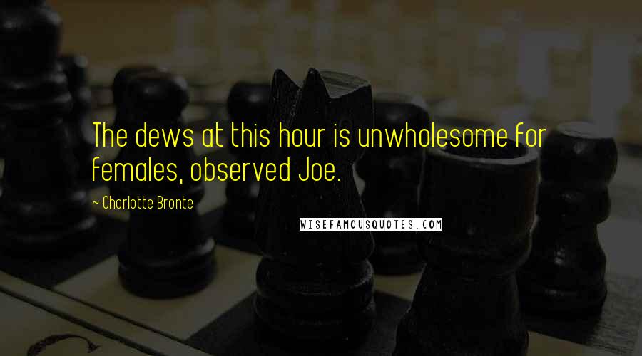 Charlotte Bronte Quotes: The dews at this hour is unwholesome for females, observed Joe.
