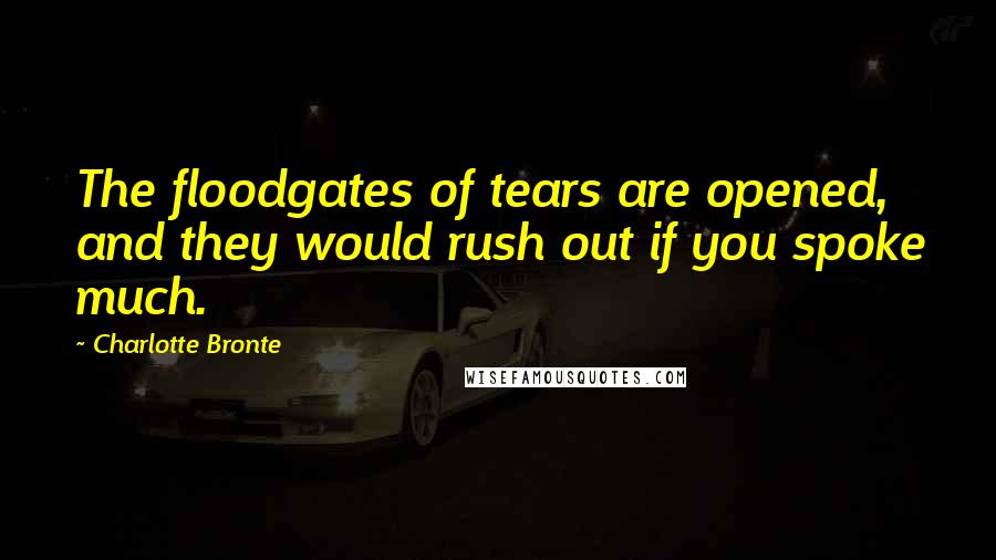 Charlotte Bronte Quotes: The floodgates of tears are opened, and they would rush out if you spoke much.