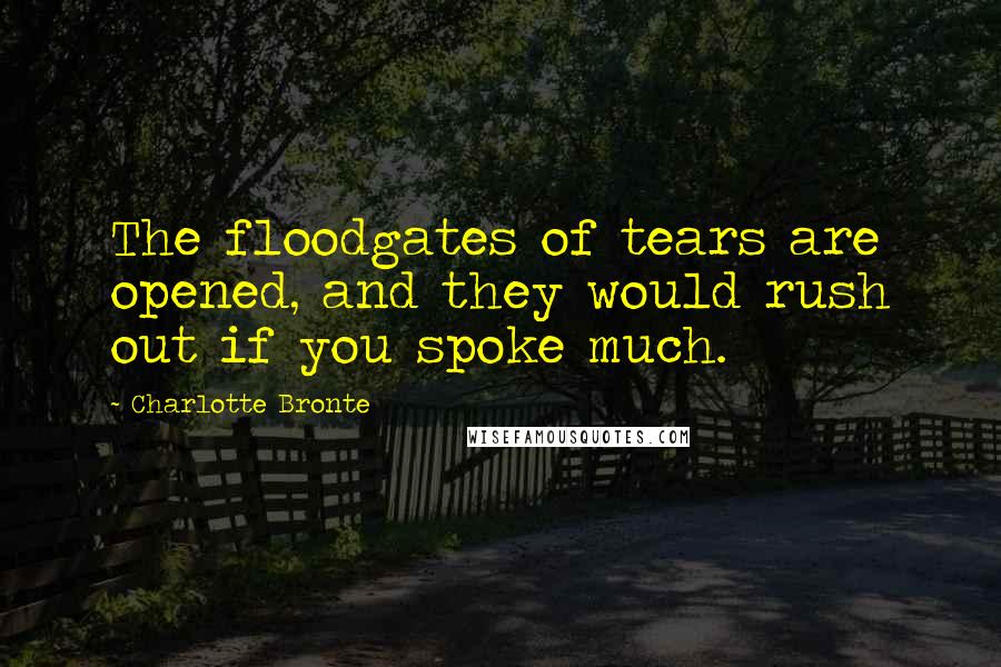 Charlotte Bronte Quotes: The floodgates of tears are opened, and they would rush out if you spoke much.