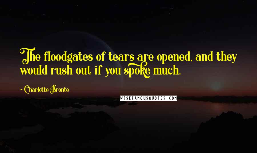 Charlotte Bronte Quotes: The floodgates of tears are opened, and they would rush out if you spoke much.