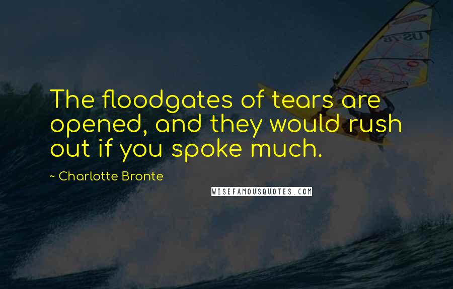 Charlotte Bronte Quotes: The floodgates of tears are opened, and they would rush out if you spoke much.