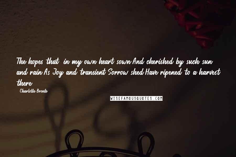 Charlotte Bronte Quotes: The hopes that, in my own heart sown,And cherished by such sun and rain,As Joy and transient Sorrow shed,Have ripened to a harvest there:
