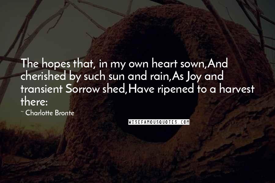 Charlotte Bronte Quotes: The hopes that, in my own heart sown,And cherished by such sun and rain,As Joy and transient Sorrow shed,Have ripened to a harvest there: