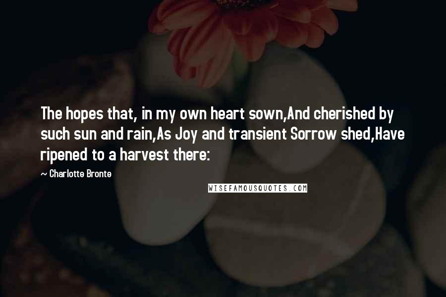 Charlotte Bronte Quotes: The hopes that, in my own heart sown,And cherished by such sun and rain,As Joy and transient Sorrow shed,Have ripened to a harvest there:
