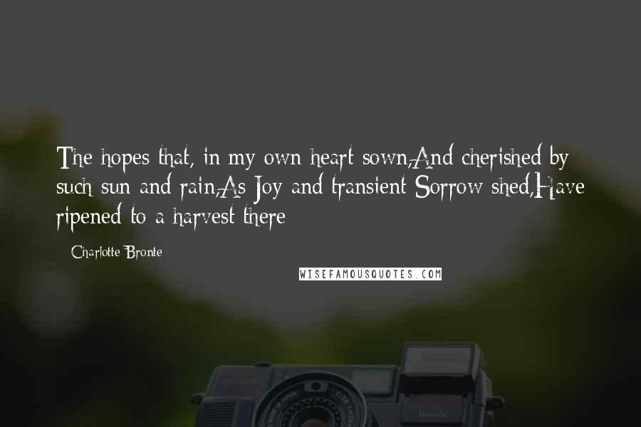 Charlotte Bronte Quotes: The hopes that, in my own heart sown,And cherished by such sun and rain,As Joy and transient Sorrow shed,Have ripened to a harvest there: