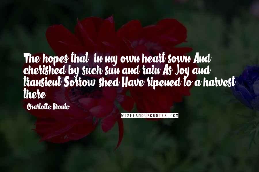 Charlotte Bronte Quotes: The hopes that, in my own heart sown,And cherished by such sun and rain,As Joy and transient Sorrow shed,Have ripened to a harvest there: