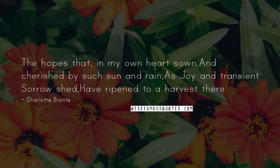 Charlotte Bronte Quotes: The hopes that, in my own heart sown,And cherished by such sun and rain,As Joy and transient Sorrow shed,Have ripened to a harvest there: