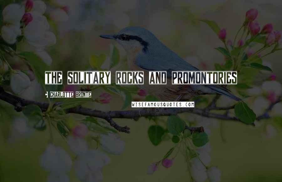 Charlotte Bronte Quotes: the solitary rocks and promontories