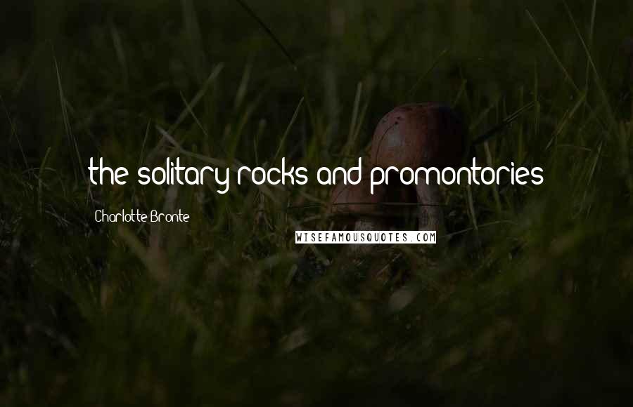 Charlotte Bronte Quotes: the solitary rocks and promontories