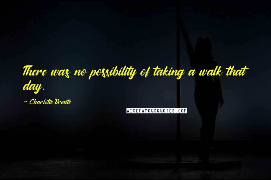 Charlotte Bronte Quotes: There was no possibility of taking a walk that day.