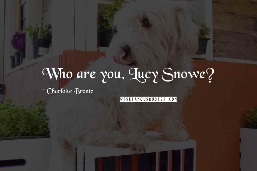 Charlotte Bronte Quotes: Who are you, Lucy Snowe?