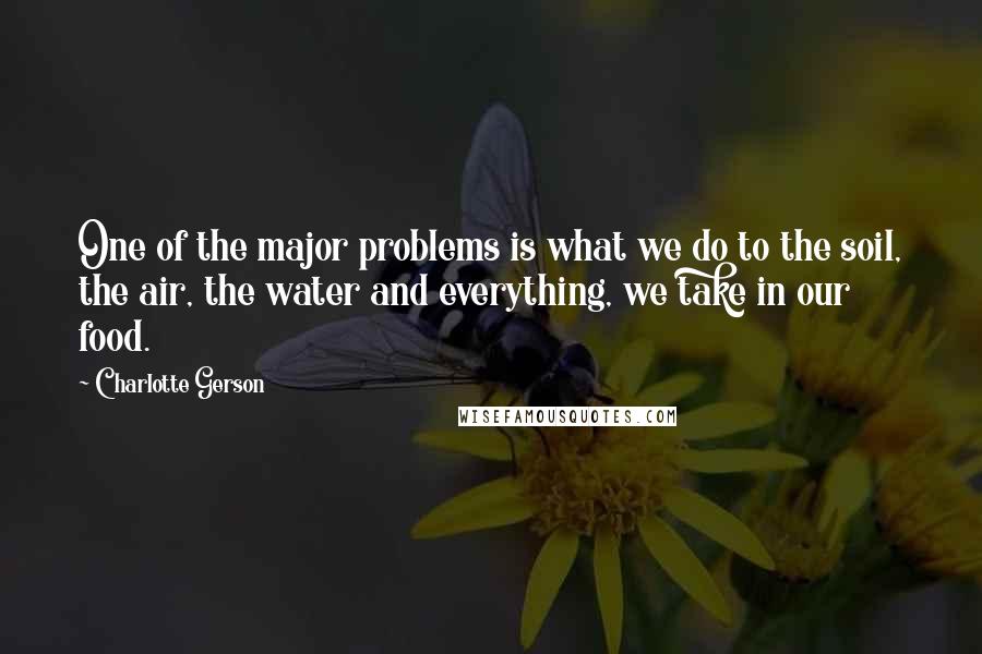 Charlotte Gerson Quotes: One of the major problems is what we do to the soil, the air, the water and everything, we take in our food.