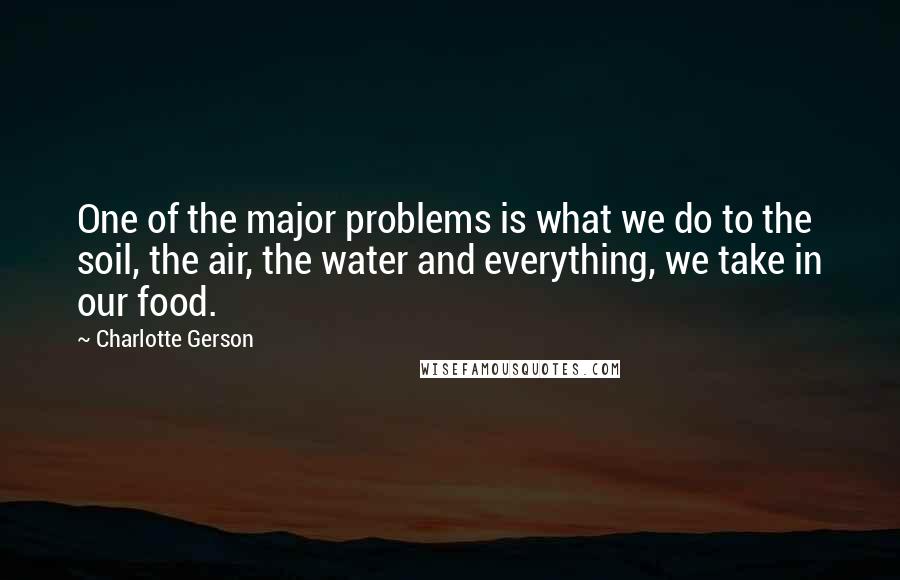 Charlotte Gerson Quotes: One of the major problems is what we do to the soil, the air, the water and everything, we take in our food.