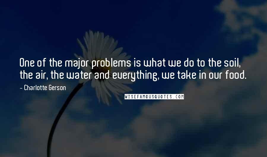 Charlotte Gerson Quotes: One of the major problems is what we do to the soil, the air, the water and everything, we take in our food.