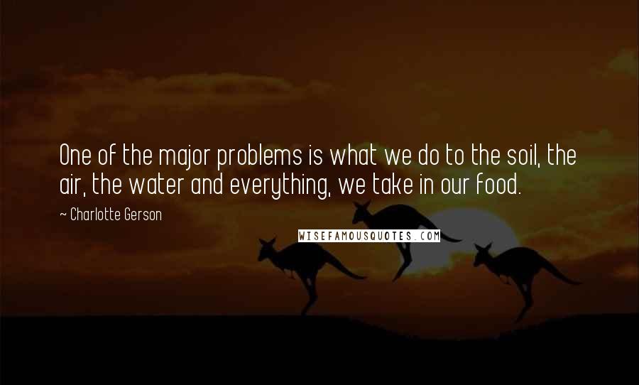 Charlotte Gerson Quotes: One of the major problems is what we do to the soil, the air, the water and everything, we take in our food.