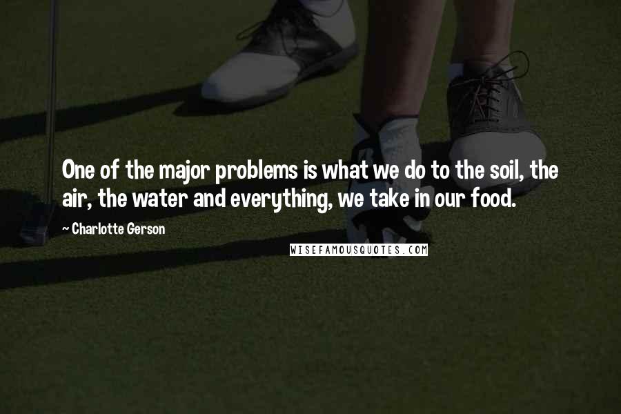 Charlotte Gerson Quotes: One of the major problems is what we do to the soil, the air, the water and everything, we take in our food.
