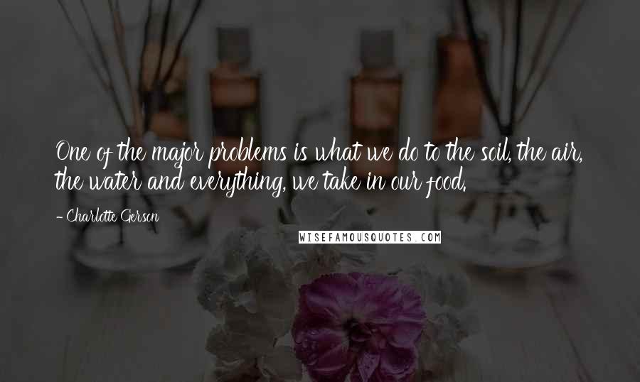 Charlotte Gerson Quotes: One of the major problems is what we do to the soil, the air, the water and everything, we take in our food.
