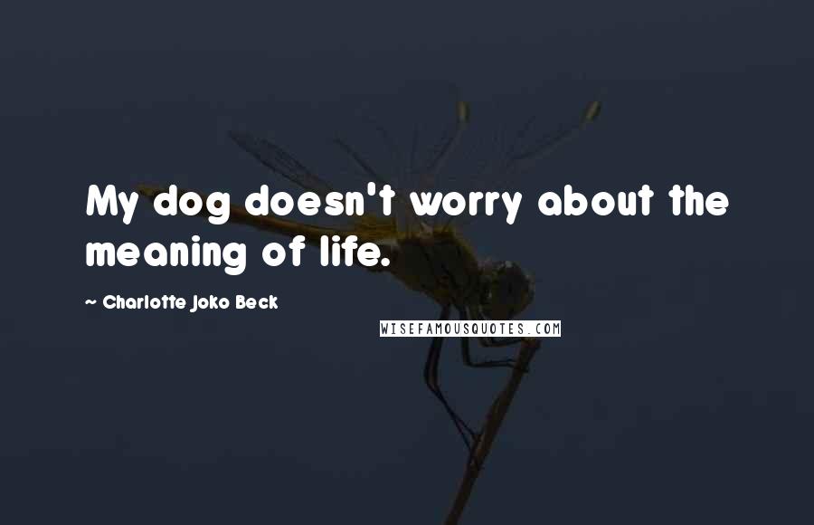 Charlotte Joko Beck Quotes: My dog doesn't worry about the meaning of life.