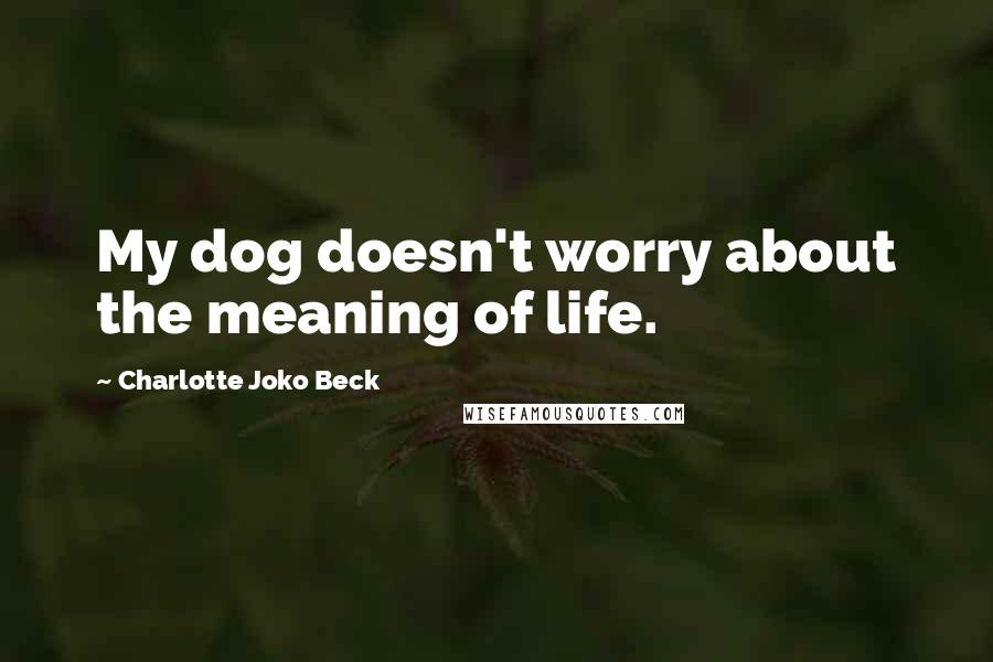 Charlotte Joko Beck Quotes: My dog doesn't worry about the meaning of life.