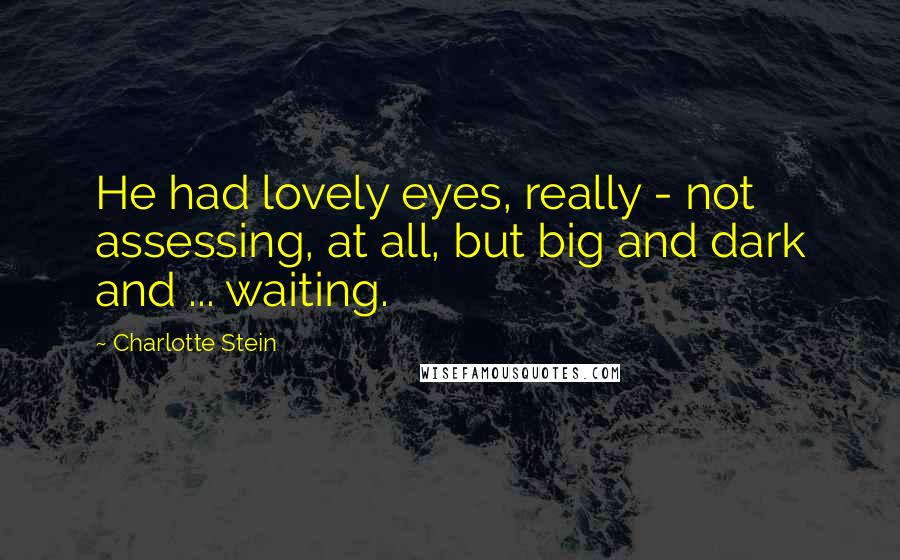 Charlotte Stein Quotes: He had lovely eyes, really - not assessing, at all, but big and dark and ... waiting.