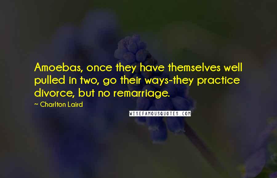 Charlton Laird Quotes: Amoebas, once they have themselves well pulled in two, go their ways-they practice divorce, but no remarriage.