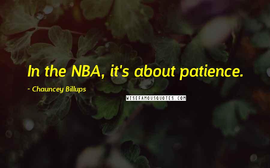 Chauncey Billups Quotes: In the NBA, it's about patience.