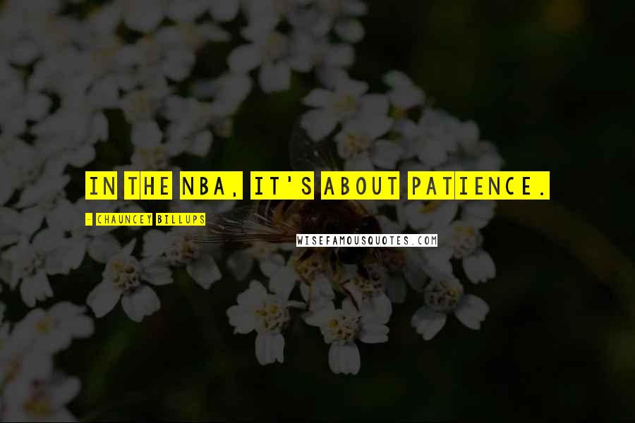 Chauncey Billups Quotes: In the NBA, it's about patience.