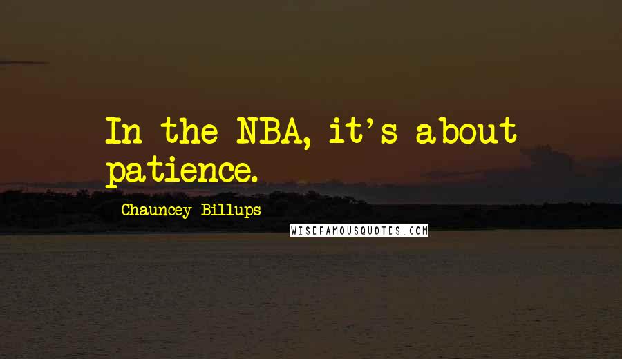 Chauncey Billups Quotes: In the NBA, it's about patience.