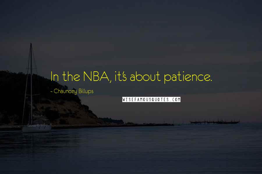 Chauncey Billups Quotes: In the NBA, it's about patience.