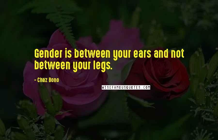 Chaz Bono Quotes: Gender is between your ears and not between your legs.