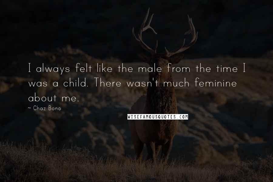 Chaz Bono Quotes: I always felt like the male from the time I was a child. There wasn't much feminine about me.
