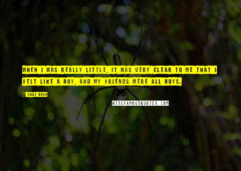 Chaz Bono Quotes: When I was really little, it was very clear to me that I felt like a boy, and my friends were all boys.