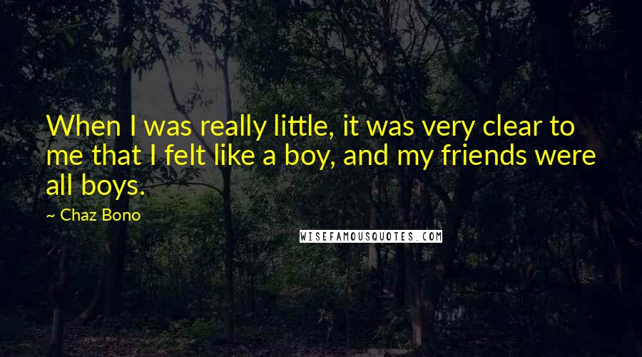 Chaz Bono Quotes: When I was really little, it was very clear to me that I felt like a boy, and my friends were all boys.