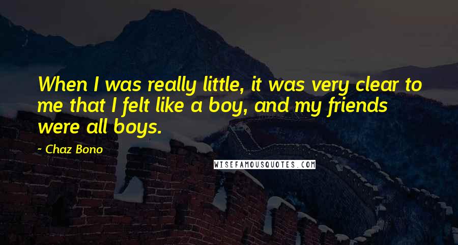 Chaz Bono Quotes: When I was really little, it was very clear to me that I felt like a boy, and my friends were all boys.