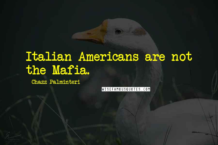 Chazz Palminteri Quotes: Italian-Americans are not the Mafia.