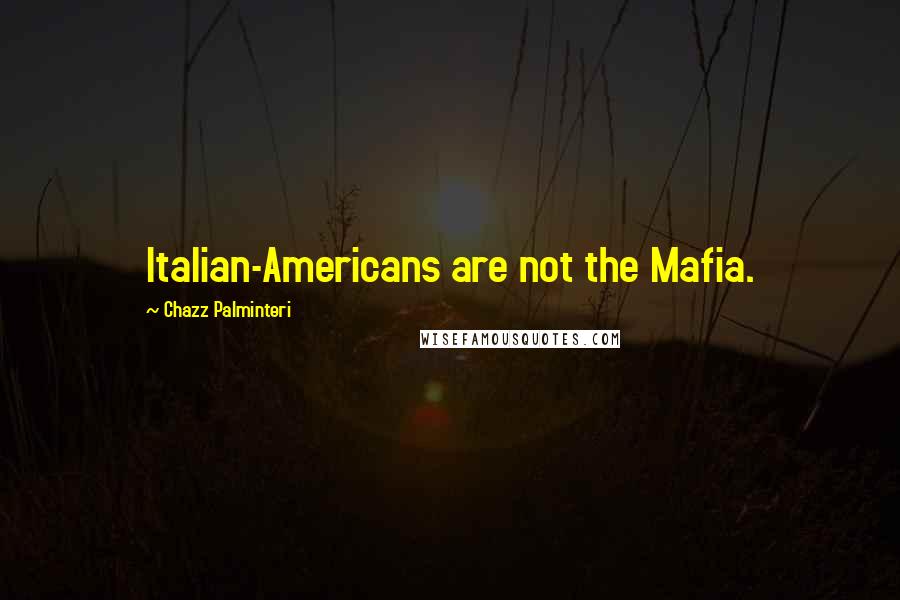 Chazz Palminteri Quotes: Italian-Americans are not the Mafia.