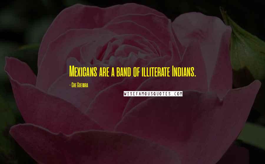 Che Guevara Quotes: Mexicans are a band of illiterate Indians.