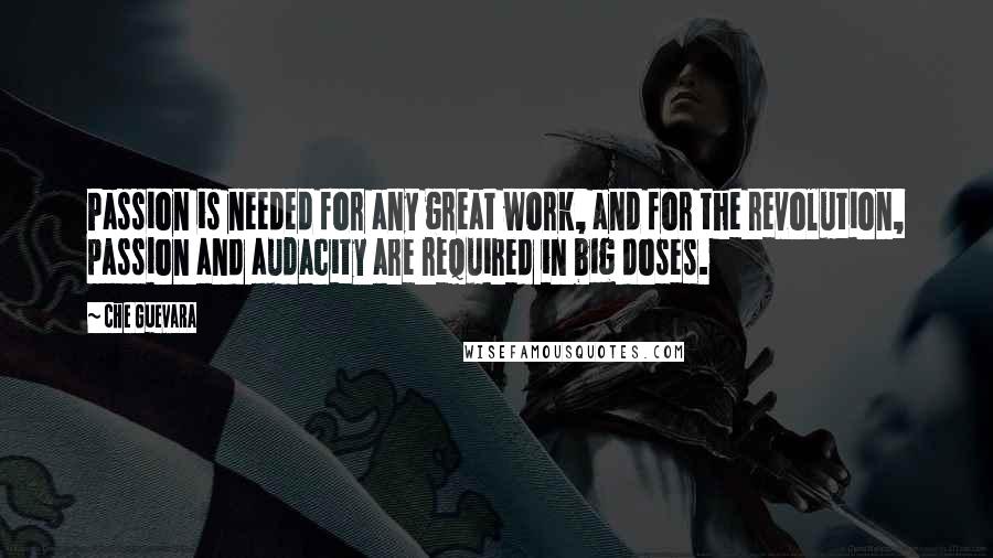 Che Guevara Quotes: Passion is needed for any great work, and for the revolution, passion and audacity are required in big doses.