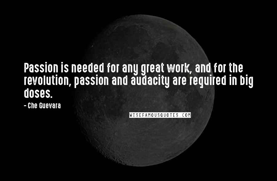 Che Guevara Quotes: Passion is needed for any great work, and for the revolution, passion and audacity are required in big doses.