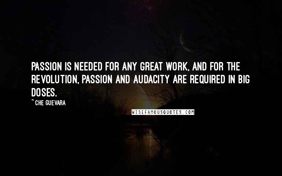 Che Guevara Quotes: Passion is needed for any great work, and for the revolution, passion and audacity are required in big doses.
