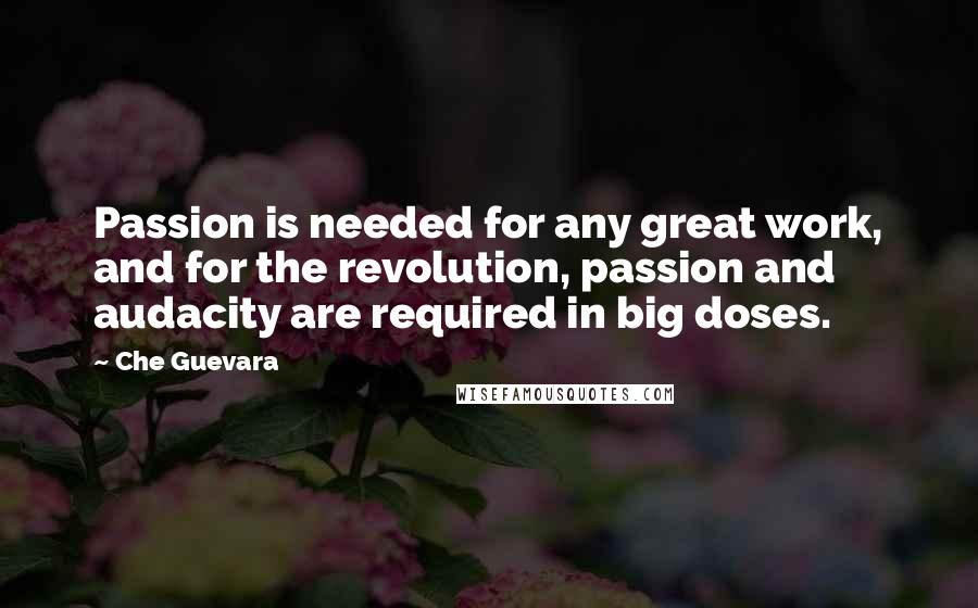 Che Guevara Quotes: Passion is needed for any great work, and for the revolution, passion and audacity are required in big doses.