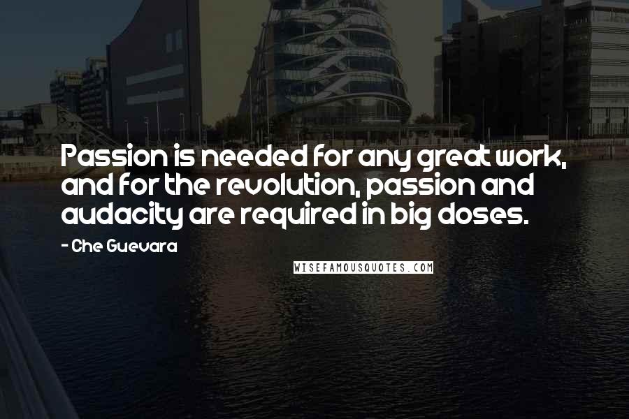 Che Guevara Quotes: Passion is needed for any great work, and for the revolution, passion and audacity are required in big doses.