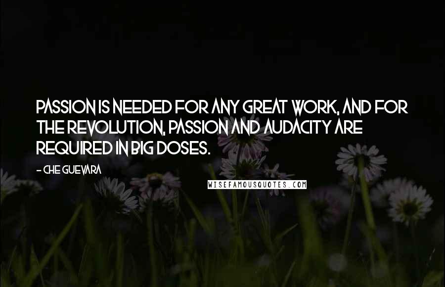 Che Guevara Quotes: Passion is needed for any great work, and for the revolution, passion and audacity are required in big doses.