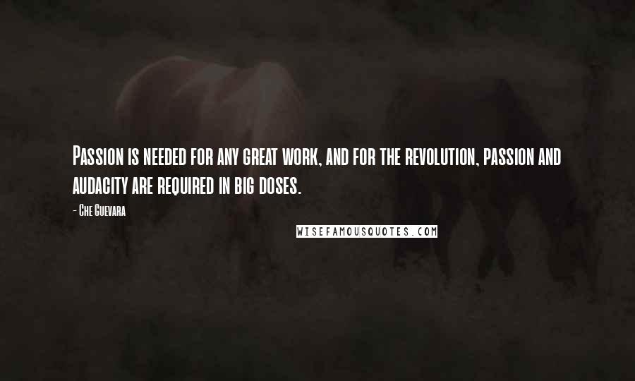 Che Guevara Quotes: Passion is needed for any great work, and for the revolution, passion and audacity are required in big doses.